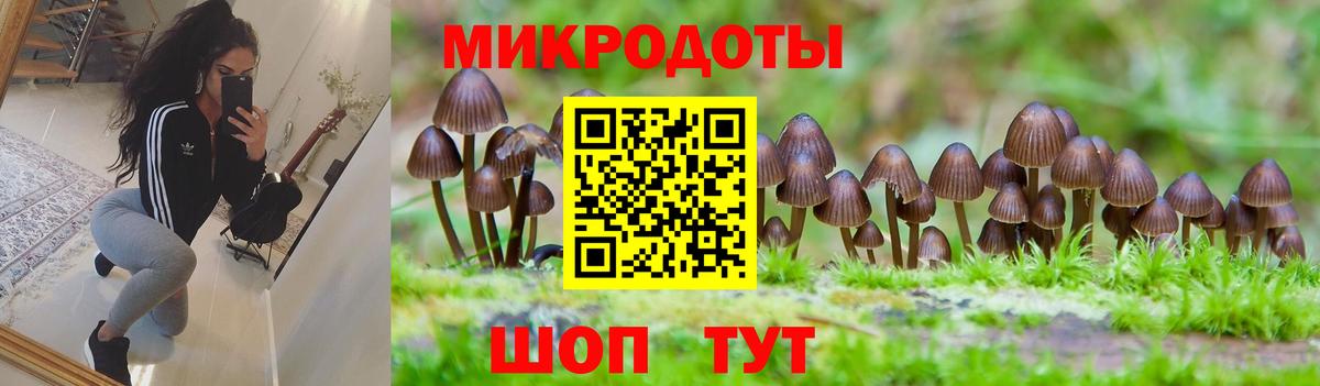 Галлюциногенные грибы MAGIC MUSHROOMS  Вход с VPN  Гусь-Хрустальный 